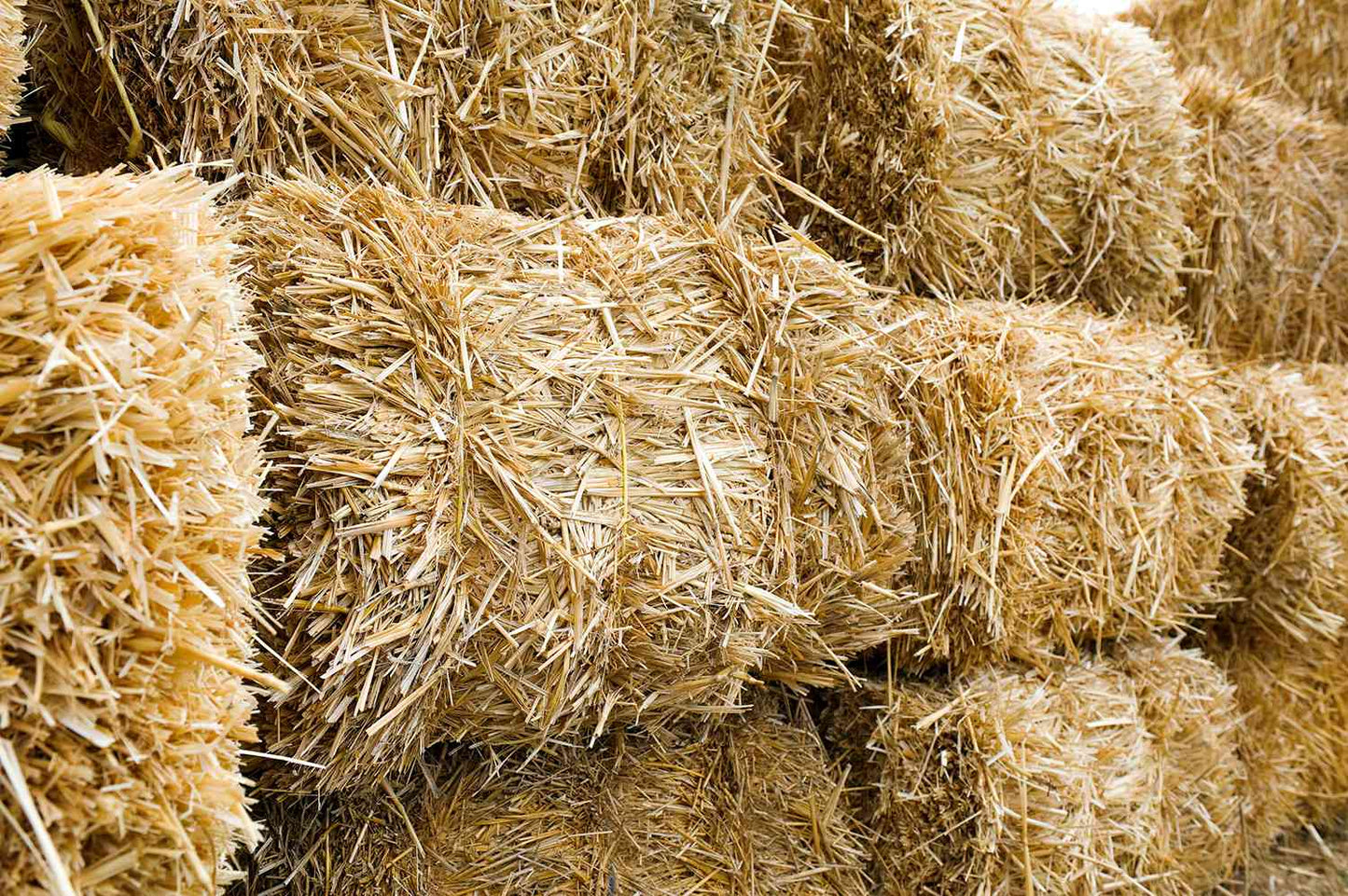 +2 Hay bales (+160)
